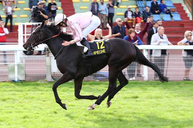 Photo d'arrivée de la course pmu PRIX DE LA CLAIRIERE DE L'ARMISTICE à COMPIEGNE le Lundi 14 octobre 2019