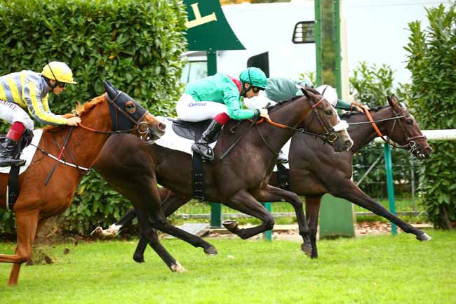 Photo d'arrivée de la course pmu PRIX DES TERROIRS DE FRANCE à CHANTILLY le Mardi 15 octobre 2019