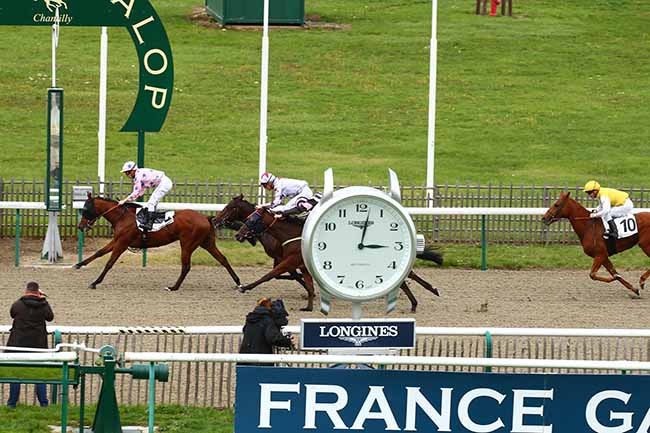 Photo d'arrivée de la course pmu PRIX DE L'ALLEE MASSINE à CHANTILLY le Mardi 15 octobre 2019