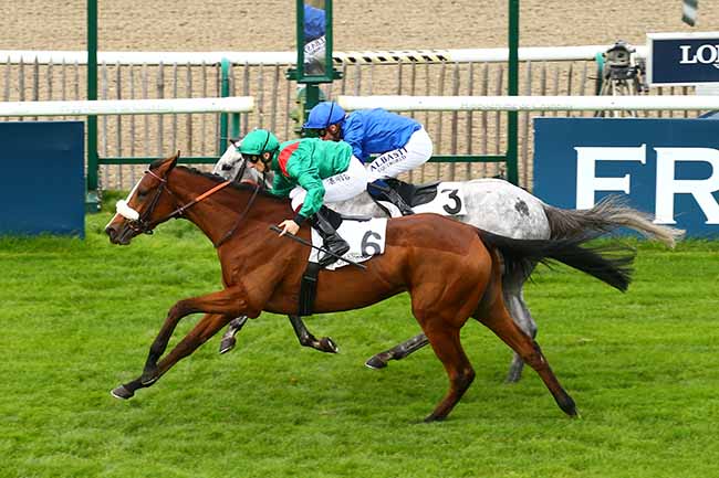 Photo d'arrivée de la course pmu PRIX DE MONTLEVEQUE à CHANTILLY le Mardi 15 octobre 2019
