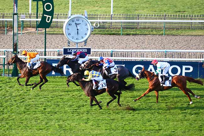 Photo d'arrivée de la course pmu PRIX DU GRAND CABINET D'ANGLE à CHANTILLY le Mardi 15 octobre 2019