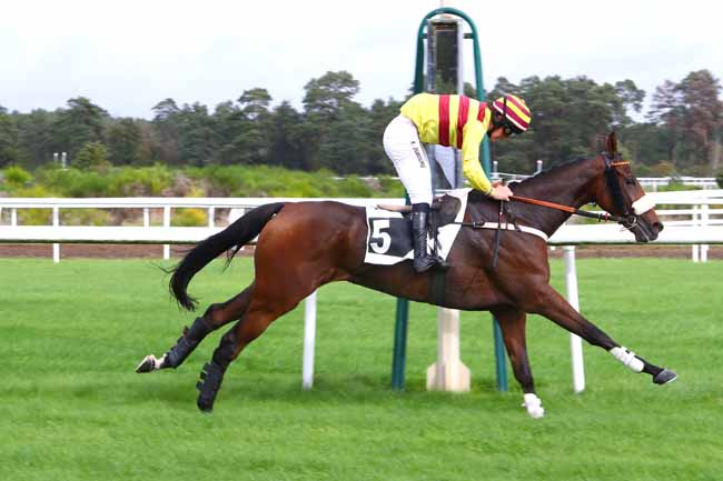 Photo d'arrivée de la course pmu PRIX DE L'ECOLE MILITAIRE D'EQUITATION à FONTAINEBLEAU le Mardi 15 octobre 2019