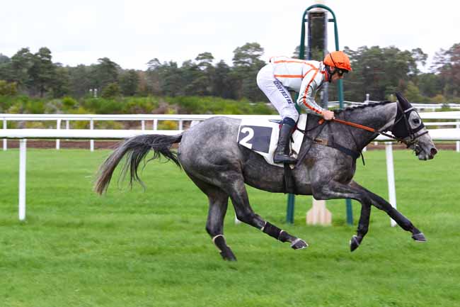 Photo d'arrivée de la course pmu PRIX COLONEL JOCHAUD DU PLESSIS à FONTAINEBLEAU le Mardi 15 octobre 2019