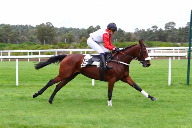 Photo d'arrivée de la course pmu PRIX DE LA TABLE DU ROI à FONTAINEBLEAU le Mardi 15 octobre 2019