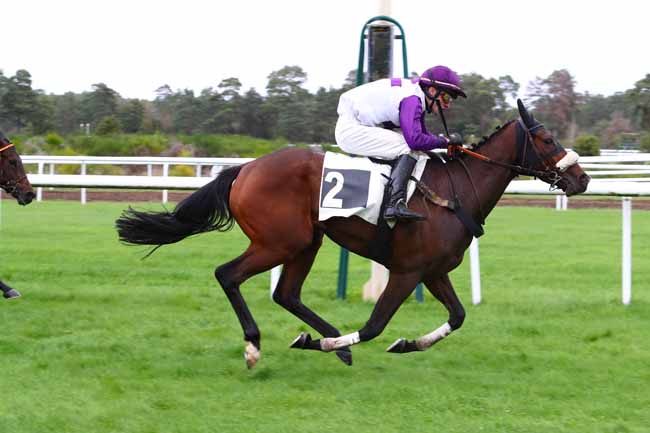 Photo d'arrivée de la course pmu PRIX DU RALLYE FONTAINEBLEAU à FONTAINEBLEAU le Mardi 15 octobre 2019