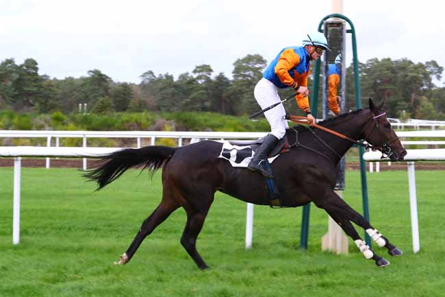 Photo d'arrivée de la course pmu PRIX DU GRAND PARQUET à FONTAINEBLEAU le Mardi 15 octobre 2019