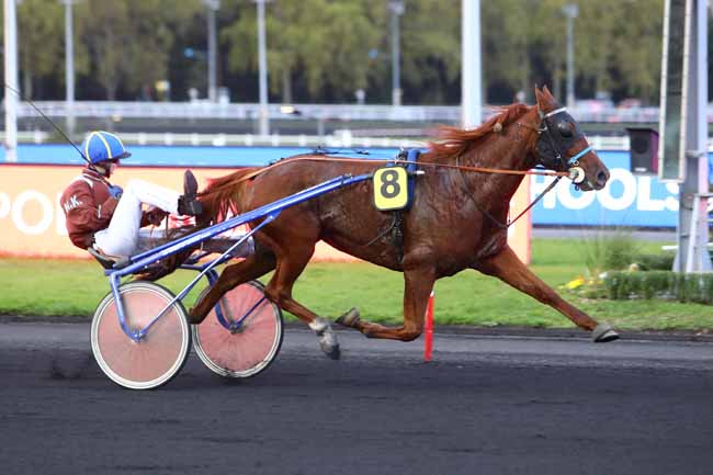 Photo d'arrivée de la course pmu PRIX EUROPEAN TROTTING SCHOOLS ASSOCIATION à PARIS-VINCENNES le Mardi 15 octobre 2019