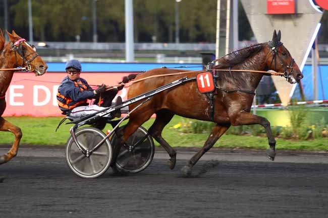 Photo d'arrivée de la course pmu PRIX BELLONA à PARIS-VINCENNES le Mardi 15 octobre 2019