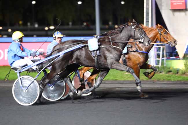 Photo d'arrivée de la course pmu PRIX ALUDRA à PARIS-VINCENNES le Mardi 15 octobre 2019