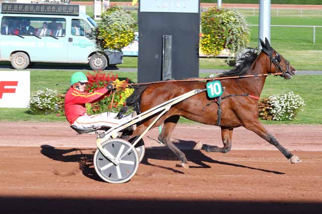 Photo d'arrivée de la course pmu PRIX ERGALIS à FEURS le Mercredi 16 octobre 2019