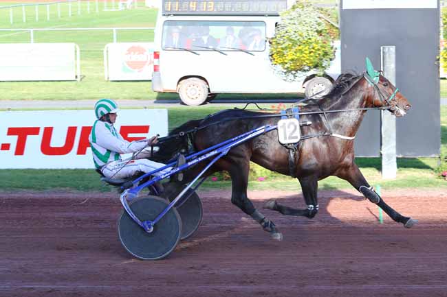 Photo d'arrivée de la course pmu PRIX MICHOLET METALLERIE à FEURS le Mercredi 16 octobre 2019