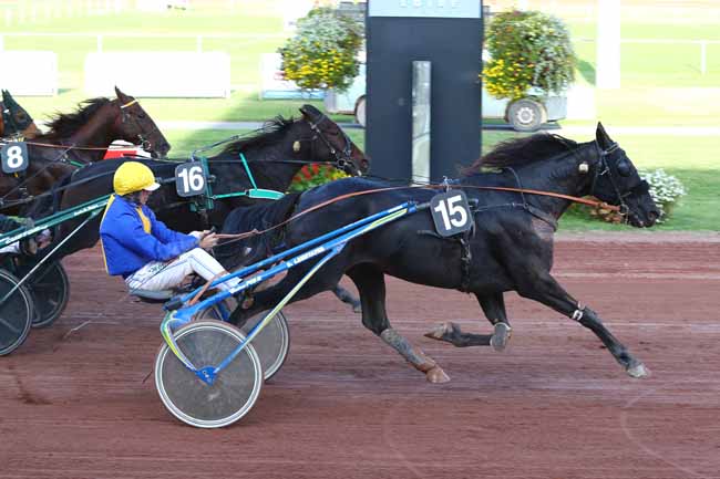 Photo d'arrivée de la course pmu PRIX DU CONSEIL DEPARTEMENTAL DE LA LOIRE à FEURS le Mercredi 16 octobre 2019