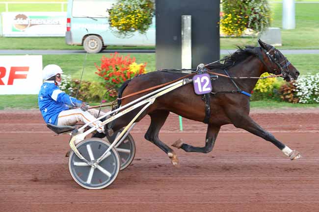 Photo d'arrivée de la course pmu PRIX DU CREDIT MUTUEL LOIRE SUD à FEURS le Mercredi 16 octobre 2019