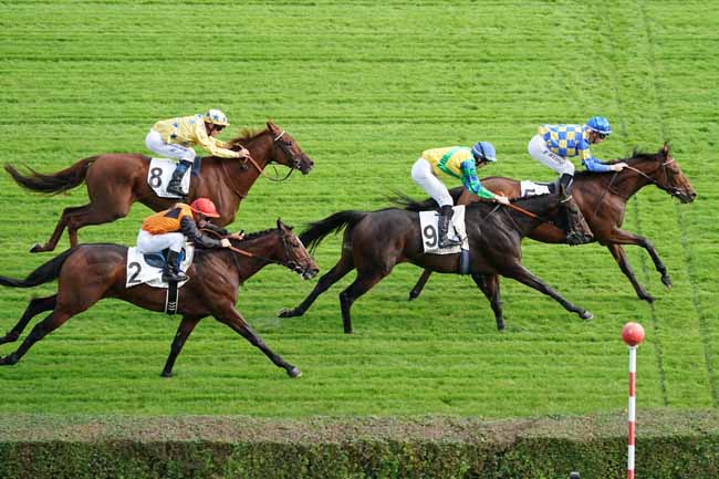 Photo d'arrivée de la course pmu PRIX DE RENNEMOULIN à SAINT-CLOUD le Mercredi 16 octobre 2019