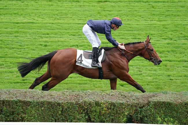 Photo d'arrivée de la course pmu PRIX VICTRIX à SAINT-CLOUD le Mercredi 16 octobre 2019