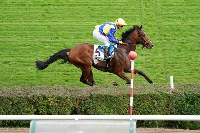 Photo d'arrivée de la course pmu PRIX VAMOS à SAINT-CLOUD le Mercredi 16 octobre 2019