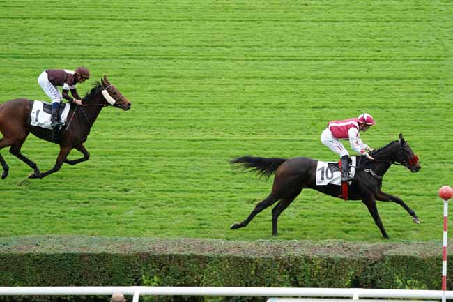 Photo d'arrivée de la course pmu PRIX SAGE ET JOLIE à SAINT-CLOUD le Mercredi 16 octobre 2019