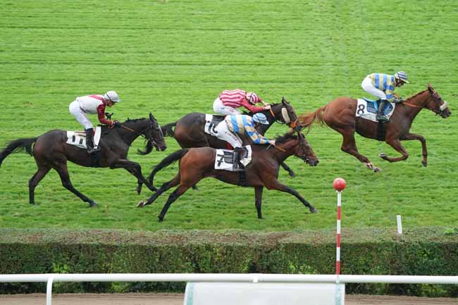Photo d'arrivée de la course pmu PRIX DU HARAS DE LA HUME à SAINT-CLOUD le Mercredi 16 octobre 2019