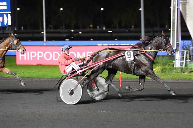 Photo d'arrivée de la course pmu PRIX THEMIS à PARIS-VINCENNES le Vendredi 18 octobre 2019