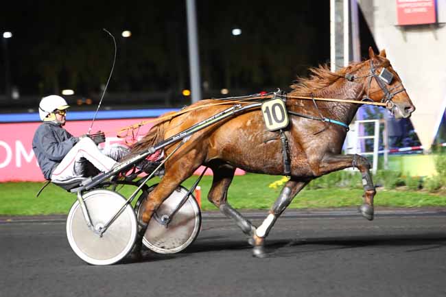Photo d'arrivée de la course pmu PRIX CARINA à PARIS-VINCENNES le Vendredi 18 octobre 2019