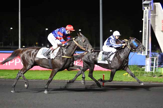 Photo d'arrivée de la course pmu PRIX ATHAMANTIS à PARIS-VINCENNES le Vendredi 18 octobre 2019