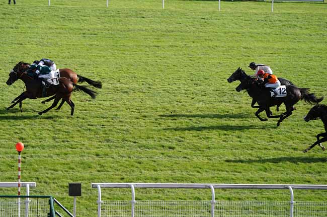 Photo d'arrivée de la course pmu PRIX DES PETRONS à MAISONS-LAFFITTE le Vendredi 18 octobre 2019