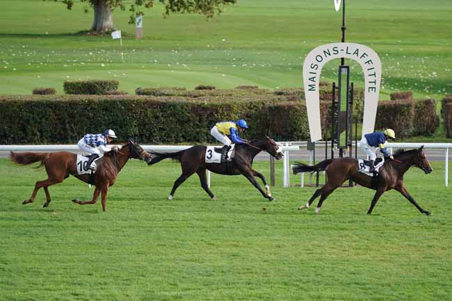 Photo d'arrivée de la course pmu PRIX DE L'ETANG DE SAINT-CUCUFA à MAISONS-LAFFITTE le Vendredi 18 octobre 2019
