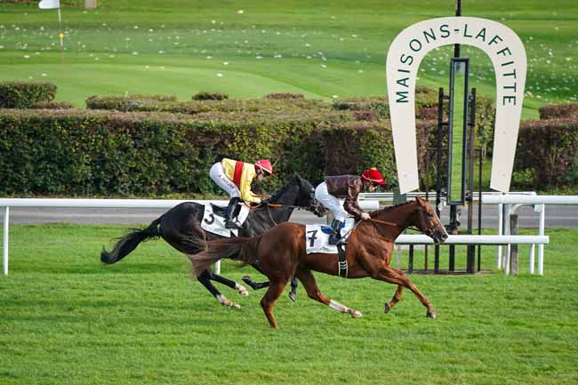 Photo d'arrivée de la course pmu PRIX DE CARRIERES-SOUS-BOIS à MAISONS-LAFFITTE le Vendredi 18 octobre 2019