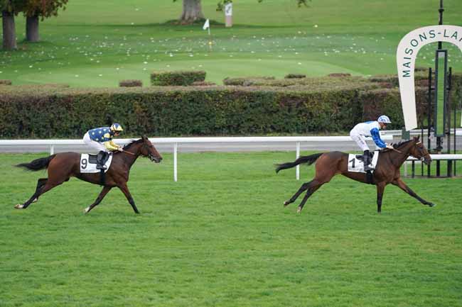 Photo d'arrivée de la course pmu PRIX DE L'AVENUE MADAME DE SEVIGNE à MAISONS-LAFFITTE le Vendredi 18 octobre 2019