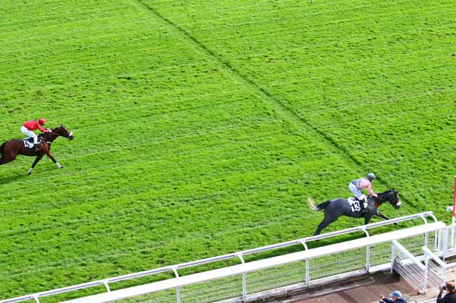 Photo d'arrivée de la course pmu PRIX EMILIUS à AUTEUIL le Samedi 19 octobre 2019