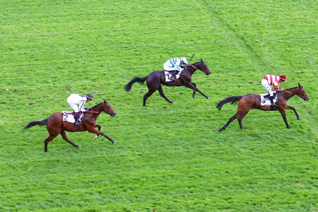 Photo d'arrivée de la course pmu PRIX MID DANCER à AUTEUIL le Samedi 19 octobre 2019