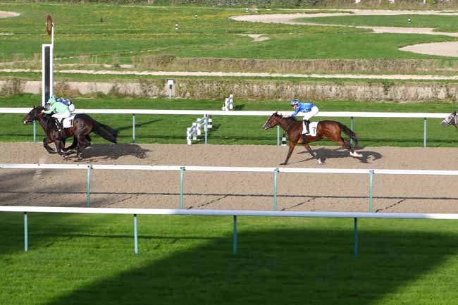 Photo d'arrivée de la course pmu PRIX DE PUTANGES à DEAUVILLE le Mardi 22 octobre 2019