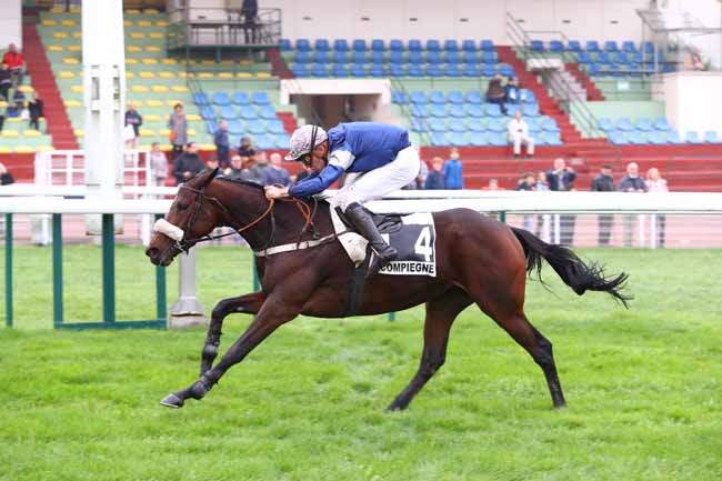 Photo d'arrivée de la course pmu PRIX LOGGIA à COMPIEGNE le Mardi 22 octobre 2019