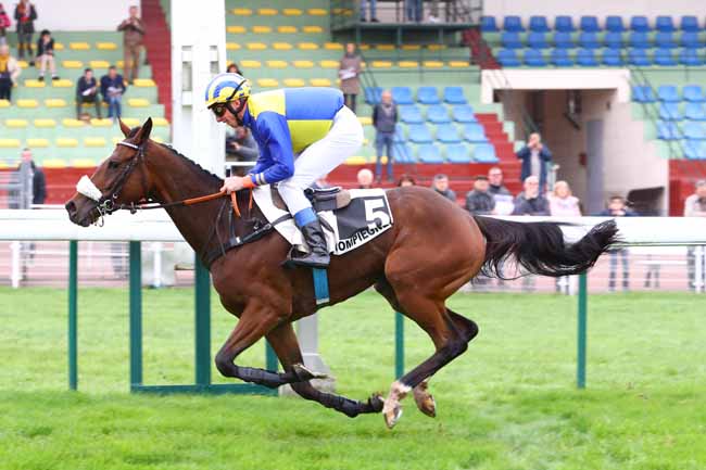 Photo d'arrivée de la course pmu PRIX LA FREGATE à COMPIEGNE le Mardi 22 octobre 2019