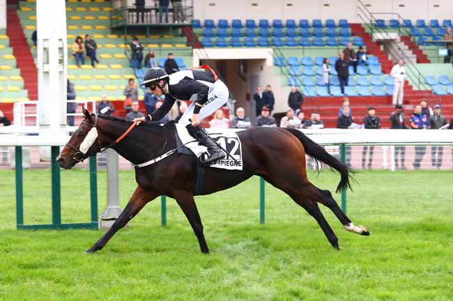 Photo d'arrivée de la course pmu PRIX DE PORNIC à COMPIEGNE le Mardi 22 octobre 2019