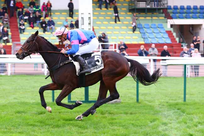 Photo d'arrivée de la course pmu PRIX HURON à COMPIEGNE le Mardi 22 octobre 2019