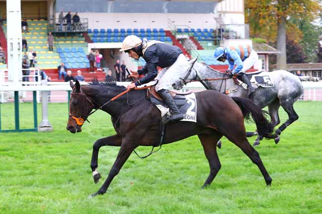 Photo d'arrivée de la course pmu PRIX FRANCOIS DE CHEVIGNY à COMPIEGNE le Mardi 22 octobre 2019