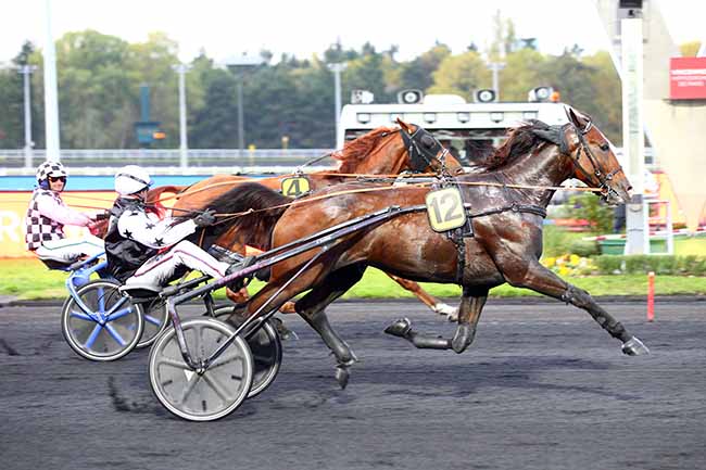 Photo d'arrivée de la course pmu PRIX MAJA à PARIS-VINCENNES le Mardi 22 octobre 2019