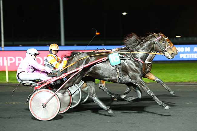 Photo d'arrivée de la course pmu PRIX CYANE à PARIS-VINCENNES le Mardi 22 octobre 2019