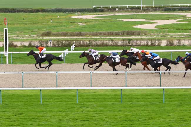 Photo d'arrivée de la course pmu PRIX EQUIDAYS LE CALVADOS FETE LE CHEVAL à DEAUVILLE le Mercredi 23 octobre 2019