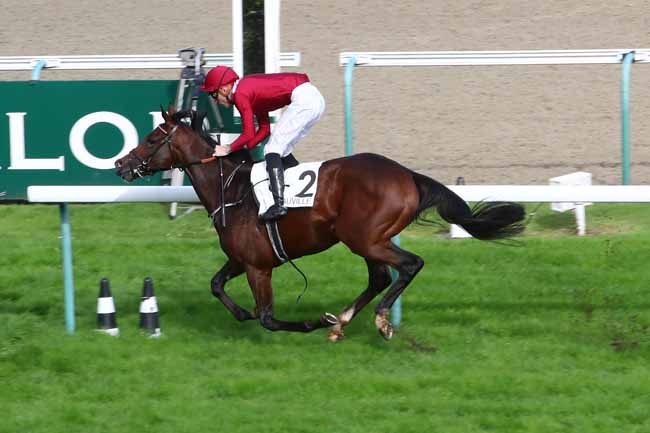 Photo d'arrivée de la course pmu PRIX ISONOMY à DEAUVILLE le Mercredi 23 octobre 2019