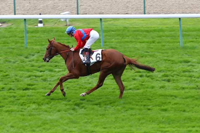 Photo d'arrivée de la course pmu PRIX DU PONT D'OUILLY à DEAUVILLE le Mercredi 23 octobre 2019