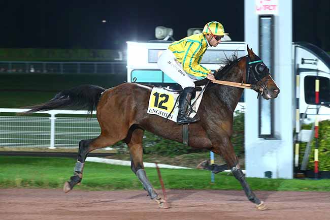 Photo d'arrivée de la course pmu PRIX DE LA BASTILLE à ENGHIEN le Mercredi 23 octobre 2019