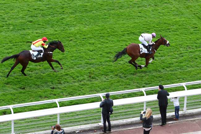 Photo d'arrivée de la course pmu PRIX LUSIGNAN à AUTEUIL le Jeudi 24 octobre 2019