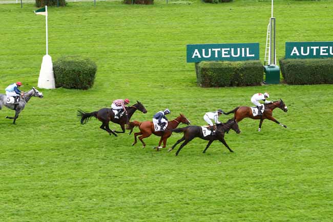 Photo d'arrivée de la course pmu PRIX TRIQUERVILLE à AUTEUIL le Jeudi 24 octobre 2019