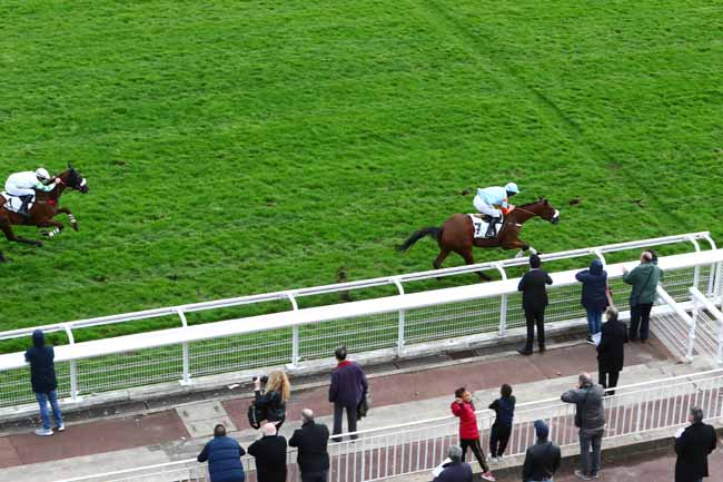 Photo d'arrivée de la course pmu PRIX PRE CATELAN à AUTEUIL le Jeudi 24 octobre 2019