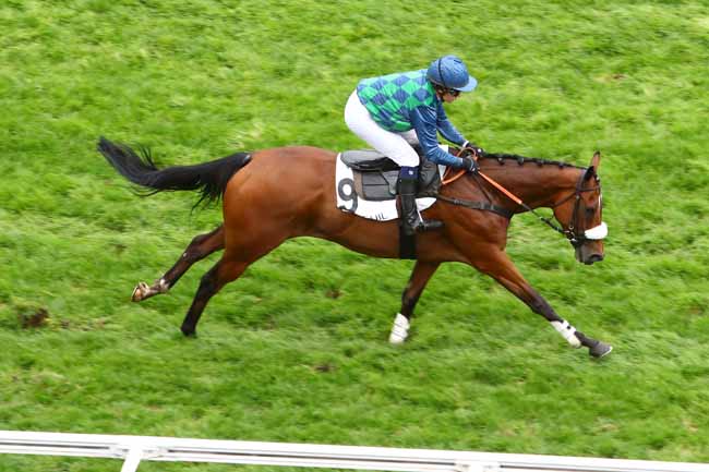 Photo d'arrivée de la course pmu PRIX HUNORISK à AUTEUIL le Jeudi 24 octobre 2019