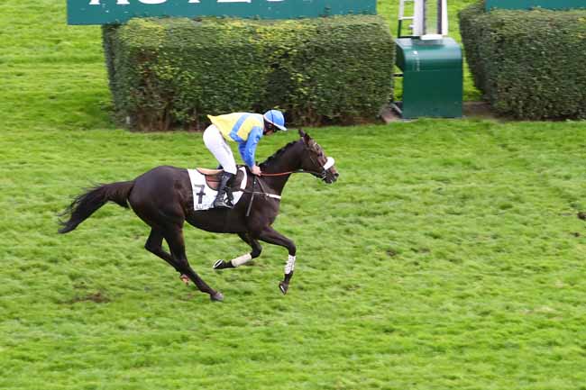 Photo d'arrivée de la course pmu PRIX FERDINAND RIANT à AUTEUIL le Jeudi 24 octobre 2019