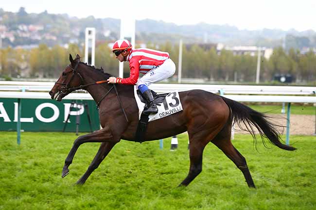 Photo d'arrivée de la course pmu PRIX D'HOTOT-EN-AUGE à DEAUVILLE le Jeudi 24 octobre 2019