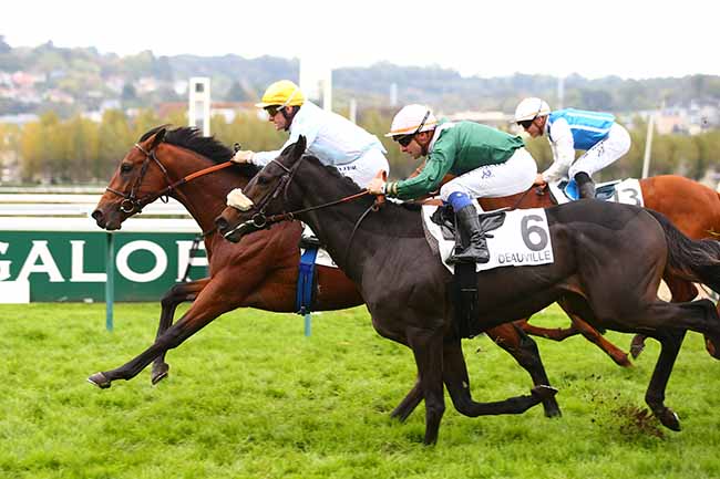 Photo d'arrivée de la course pmu PRIX EQUIDAYS - PRIX DE SAINT-DESIR à DEAUVILLE le Jeudi 24 octobre 2019